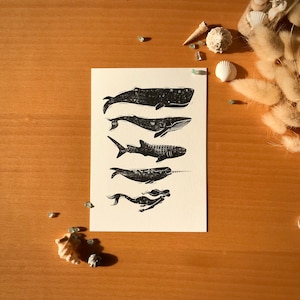 Petite Impression d’art - Sea Creatures - Carte Postale A6