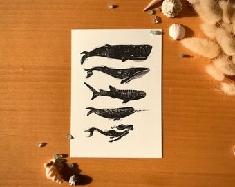 Petite Impression d’art - Sea Creatures - Carte Postale A6