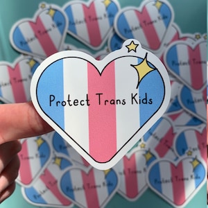 Protect Trans Kids 2.5 Inch LGBTQIA+ Sticker