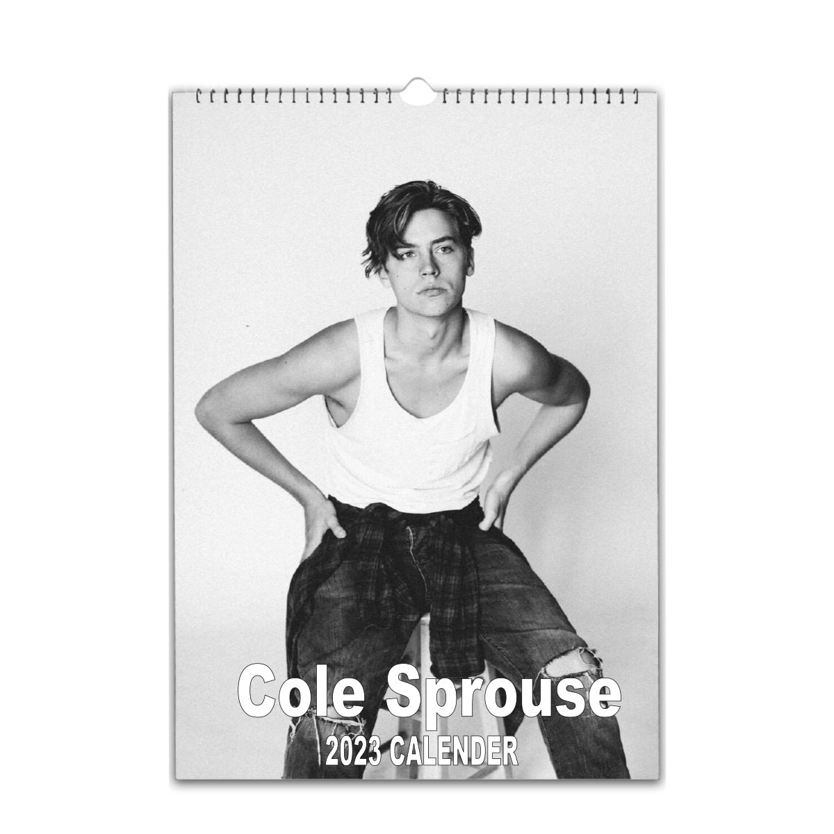 Cole Sprouse A4 /A3 Personalised 2023/4 Calendar 12 Month Etsy