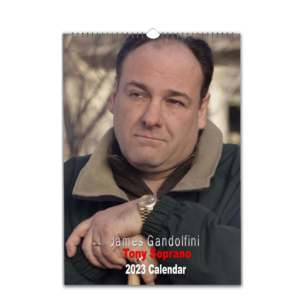 James Gandolfini Full Photo 2023/4 Calendar Personalised 12 Etsy