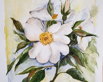 Aquarellbild "Heckenrose in weiß", Malerei, Kunst, Aquarell, Frühling