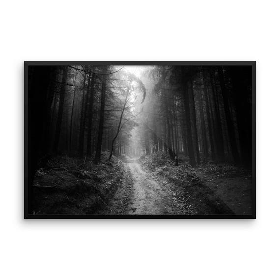 Grote ingelijste kunst Zwart-wit bos ingelijste fotoprint |