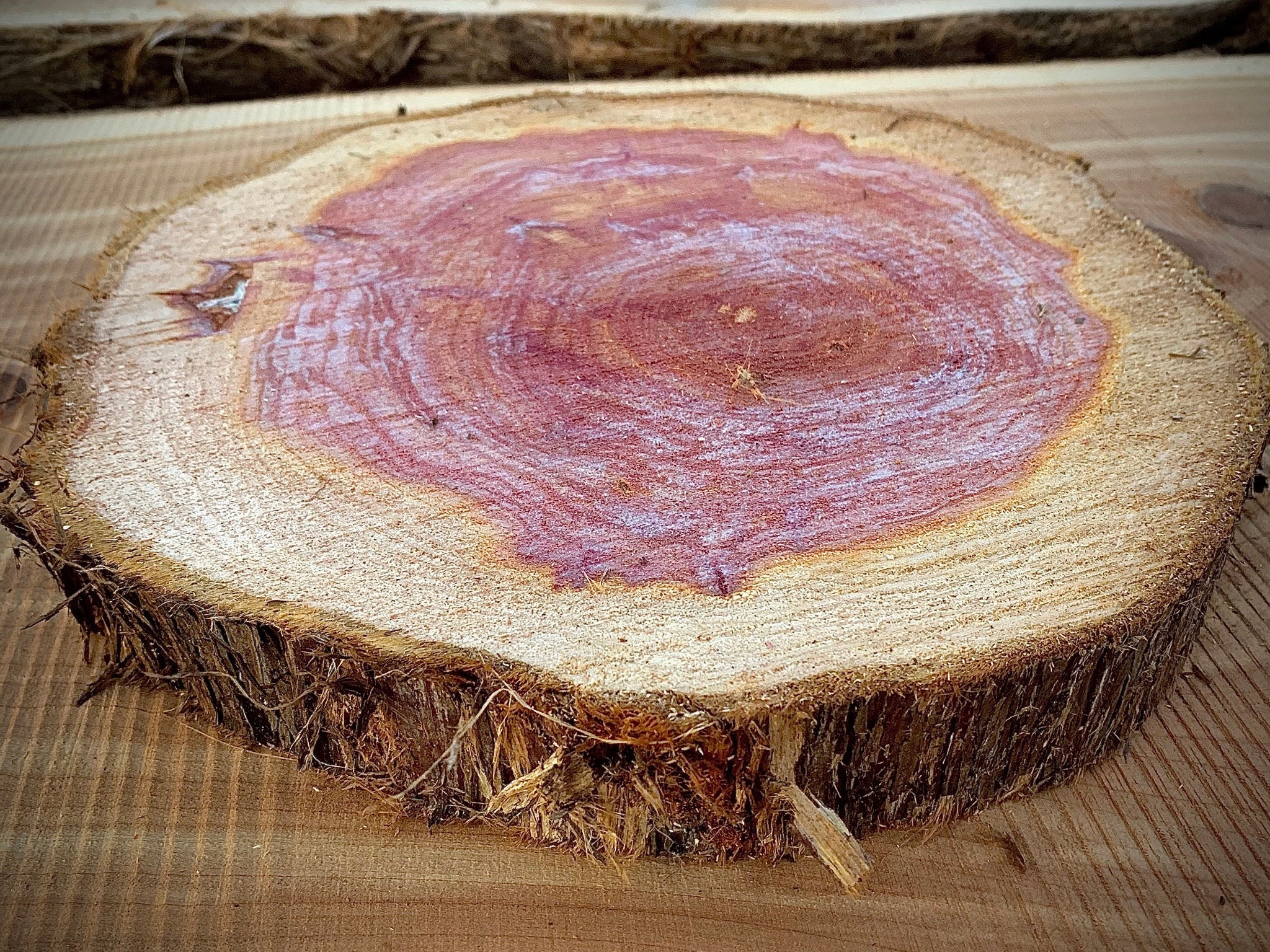 Eastern Red Cedar Rounds 11/2inch thick/ 1012 inch Diameter Etsy