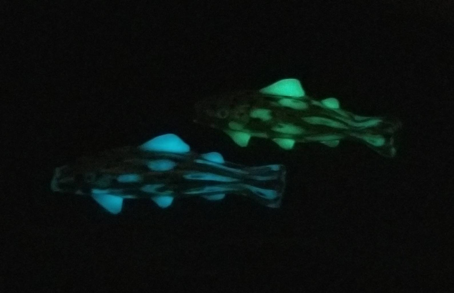 Glow in the Dark Fish Art Piece Trout Salmon Etsy
