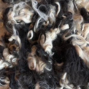 Natural Alpaca Bird Nesting Fiber: Bird Lover Gift, Garden Mulch (7oz) Mixed Black & White