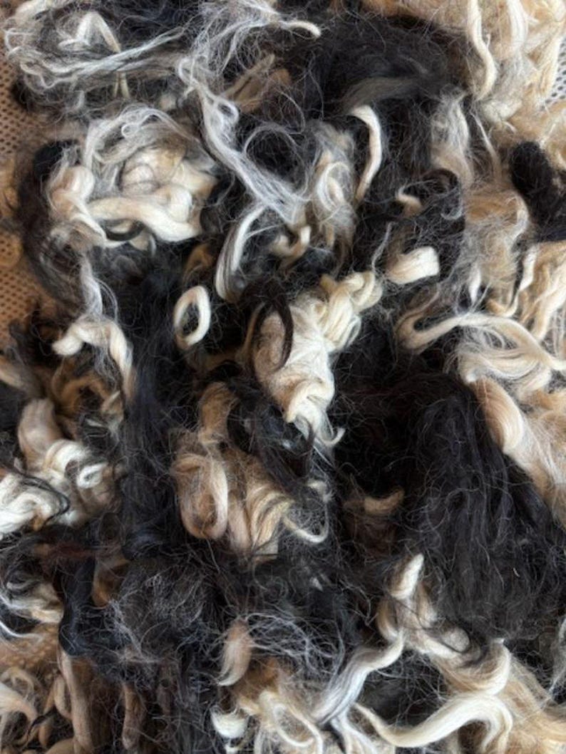Natural Alpaca Bird Nesting Fiber: Bird Lover Gift, Garden Mulch (7oz) Mixed Black & White