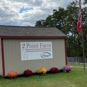 May include: A beige building with a red roof and a sign that reads "2 Point Farm Distinguished Suri Alpacas of Northern Kentucky Kentucky Proud". There are several potted mums in front of the building, and an American flag is flying in the background.