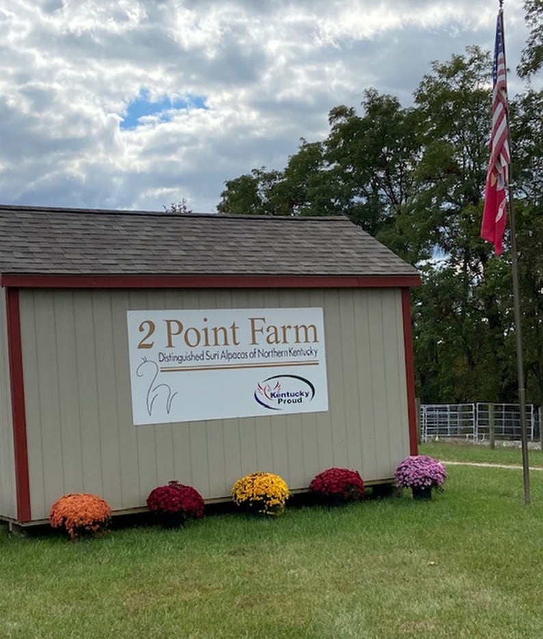 May include: A beige building with a red roof and a sign that reads "2 Point Farm Distinguished Suri Alpacas of Northern Kentucky Kentucky Proud". There are several potted mums in front of the building, and an American flag is flying in the background.