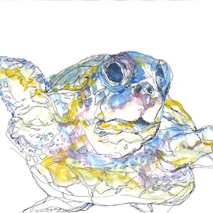 Sea Turtle, Watercolor and Pen, Prints and Postcards