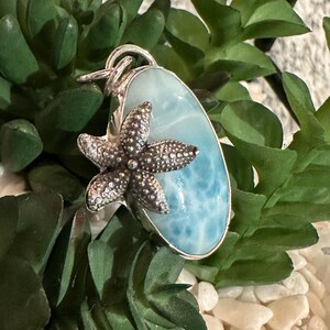 Peut inclure: Un pendentif en argent avec une pierre d'oc&eacute;an jasper bleue et blanche et un charme d'&eacute;toile de mer en argent.