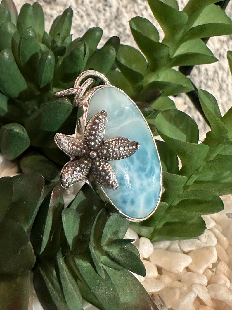 Peut inclure: Un pendentif en argent avec une pierre d'oc&eacute;an jasper bleue et blanche et un charme d'&eacute;toile de mer en argent.