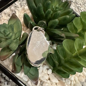 Peut inclure: Un charme argent&eacute; en forme de poisson, entour&eacute; de succulentes vertes et de pierres blanches dans un r&eacute;cipient en verre.