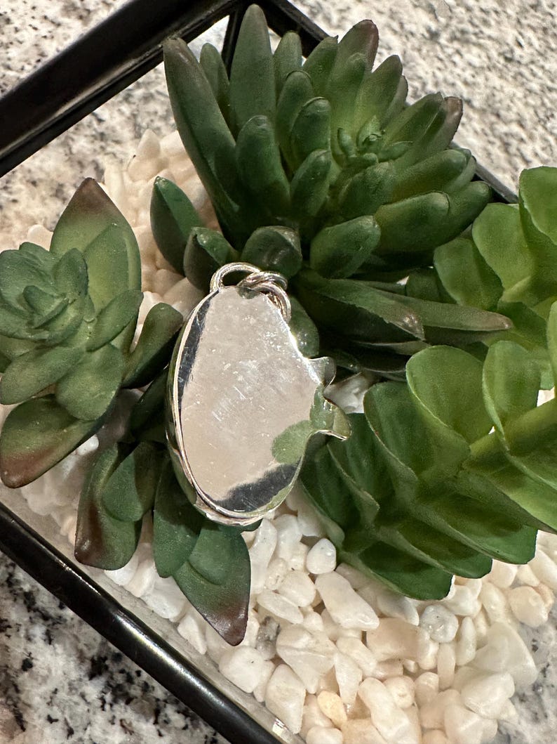 Peut inclure: Un charme argent&eacute; en forme de poisson, entour&eacute; de succulentes vertes et de pierres blanches dans un r&eacute;cipient en verre.