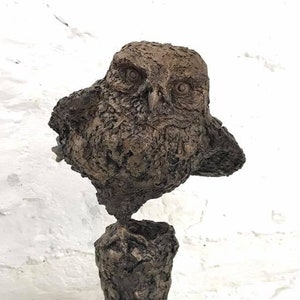 Owl Sculpture (Dodgy Landing )Bronze Resin by Christine Baxter