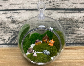 Fairy Garden | Micro Globe Woodland Acorn Creative Kit | Tiny Starter Set Fox Racoon Hedgehog | Cute Mini Teacup Fairies Decor | Fun Gift!