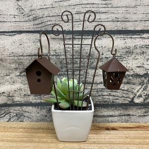 May include: A decorative brown metal plant stand with a white square pot containing a succulent plant. The stand features a trellis design and two hanging brown metal decorative pieces: a birdhouse and a lantern.