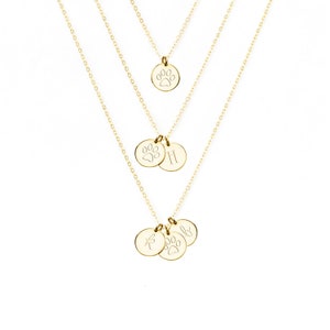 Pet Memorial Necklace, Pet Remembrance Necklace, Dog Necklace Personalized, Dog Jewelry, Paw Print Necklace, 14kt Gold Filled, Rose Silver 9