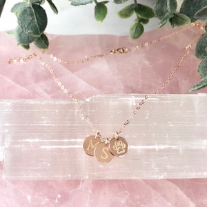 Dog Paw Necklace, Dog Paw Jewelry, Personalized Pet Lover Gift, Dog Remembrance, Pet Loss Necklace, Dog Mom Gift, Gold Filled, Rose, Silver image 4