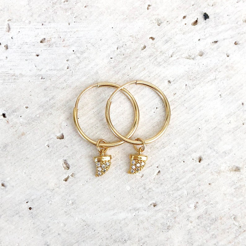 Tusk Earrings, Horn Earrings, Huggie Hoops, Hoop Earrings, CZ Charm Earrings, Minimalist Jewelry, in 14kt Gold Filled or Sterling Silver image 1