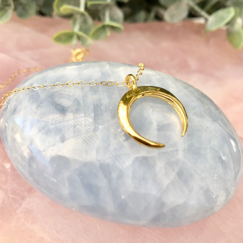 Dainty Moon Choker, Boho Horn Tusk Pendant, Minimal Crescent Moon Necklace, Delicate Layering Half Moon Necklace, in Gold fill, Silver, Rose image 6