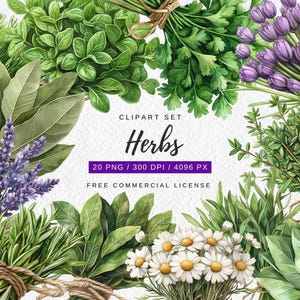 20 Designs de Clipart de Ervas Medicinais em Aquarela – Herbal, Curativo, Boticário, Primavera, Perfeito para Artesanato, Presentes, Scrapbook e Impressão