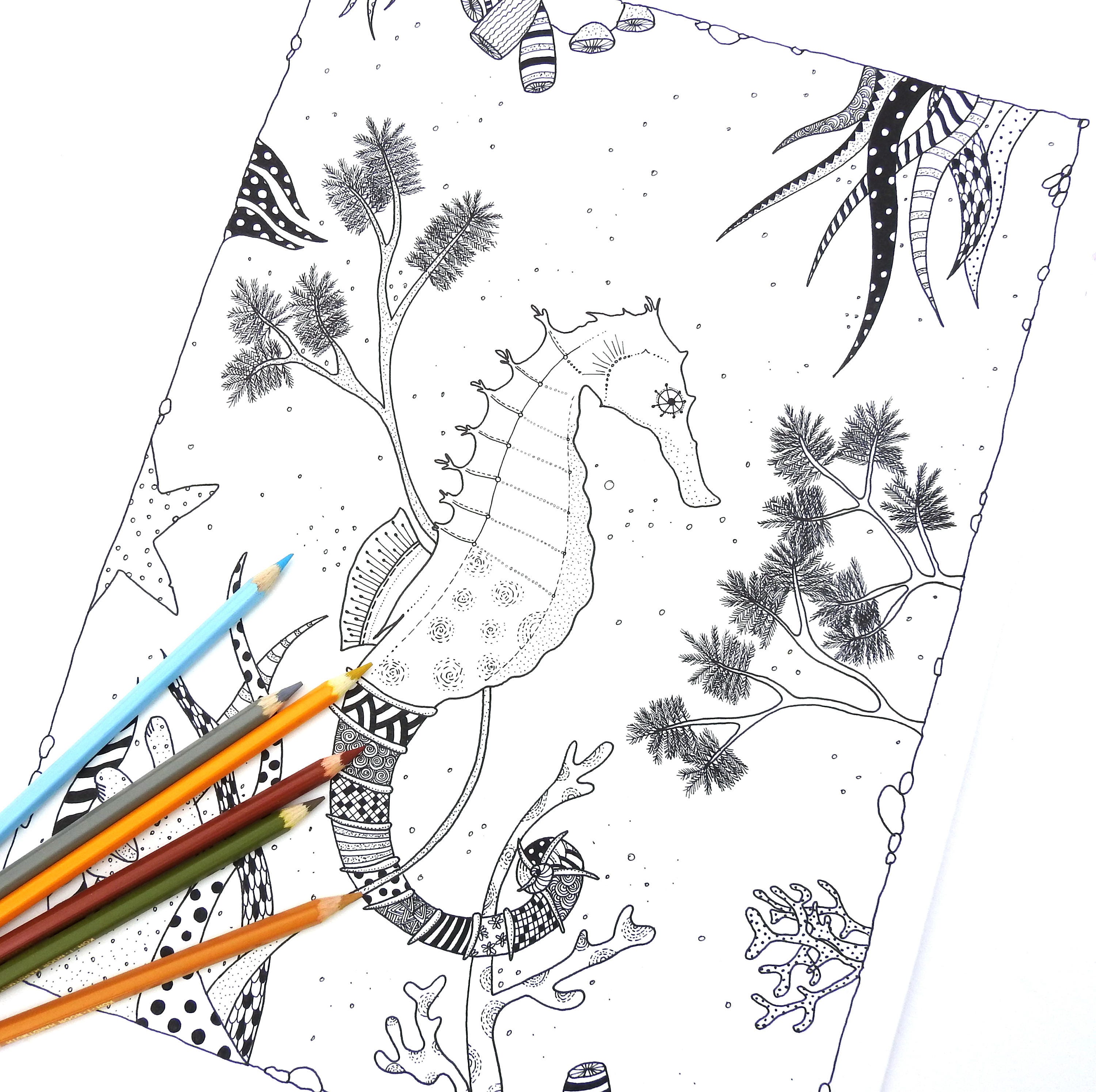 Instant Download Sea Horse Coloring Page For Kids And Adults Etsy