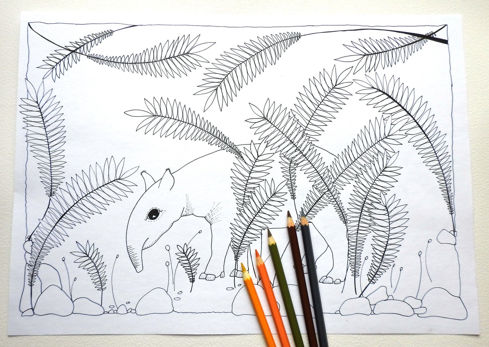 Printable Tapir Colouring Page for Kids and Adults Digital | Etsy