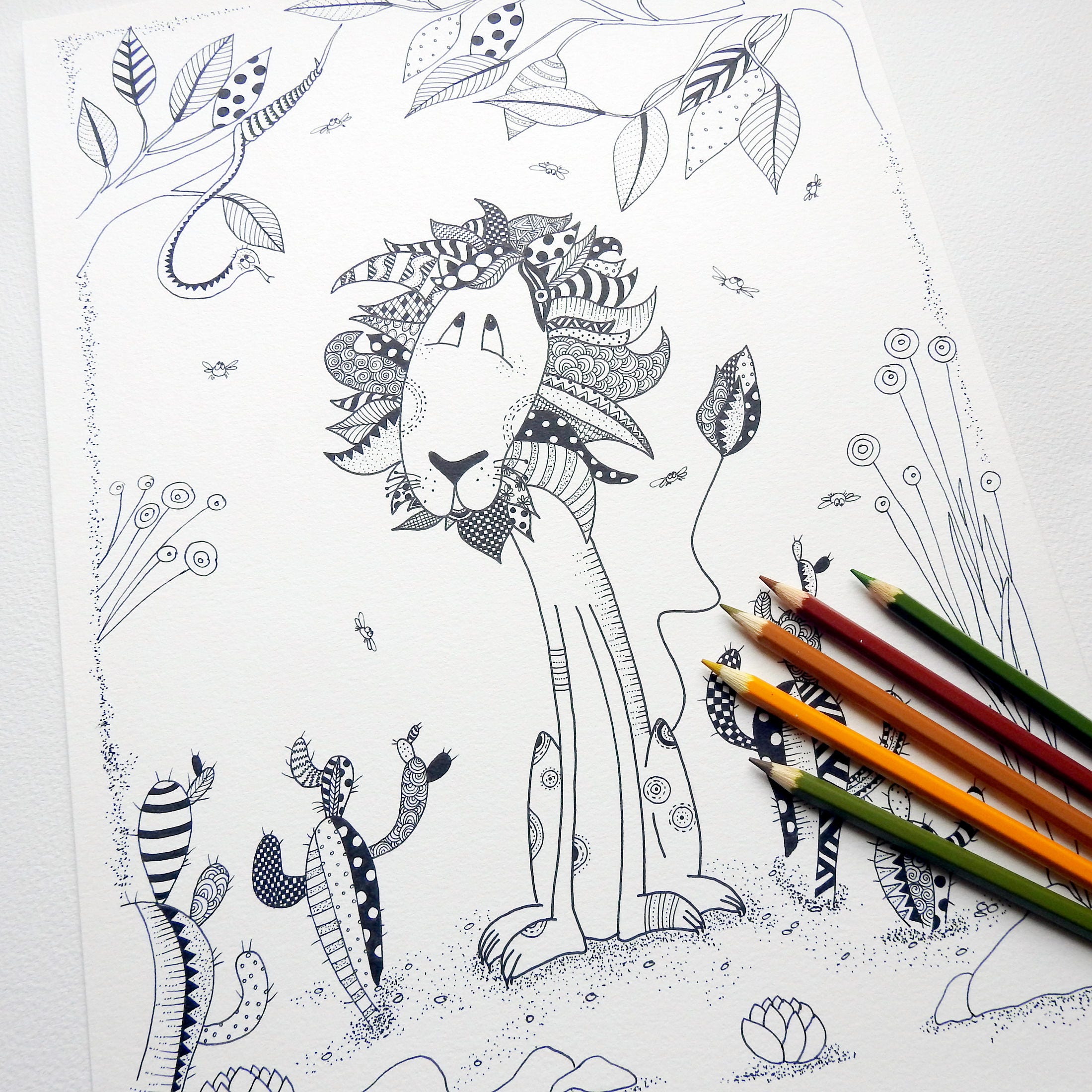   Animal Coloring Pages Lion  Best HD