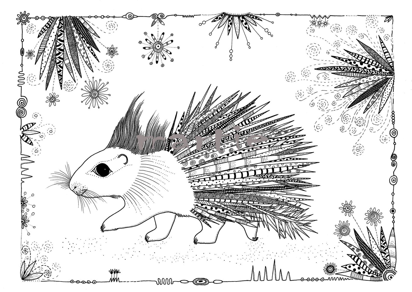 Printable Whimsical Porcupine Coloring Page for Kids and | Etsy
