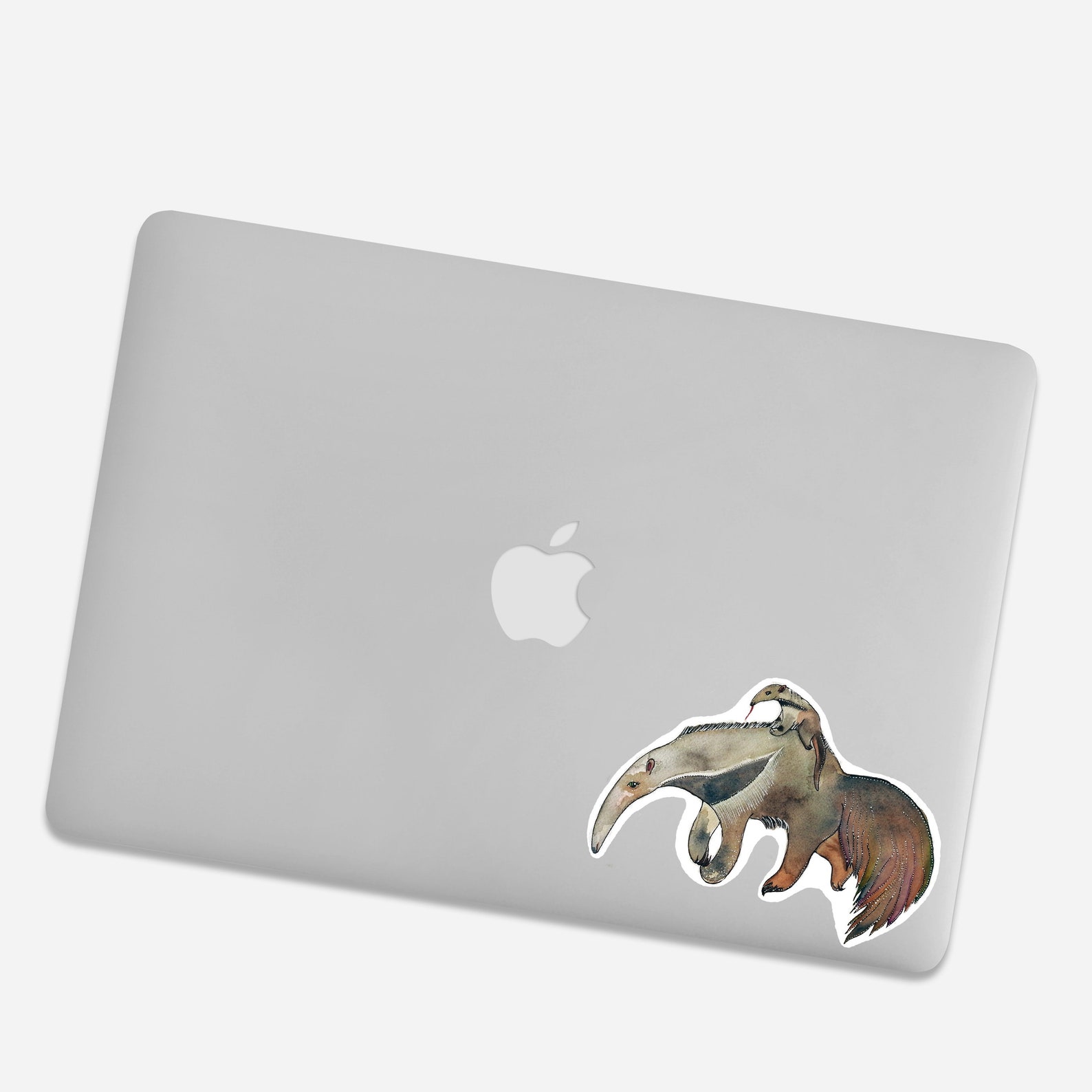Colorful Hand Cut Vinyl Sticker With Anteater for Laptop Etsy
