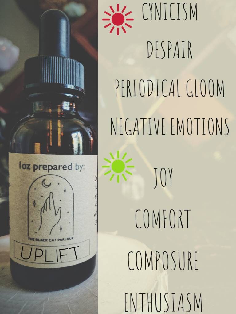 Flower Remedy for depression renewed Bach Etsy