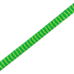 May include: Green and yellow striped shoelace.