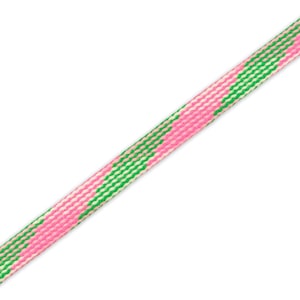 May include: Pink and green striped shoelace.