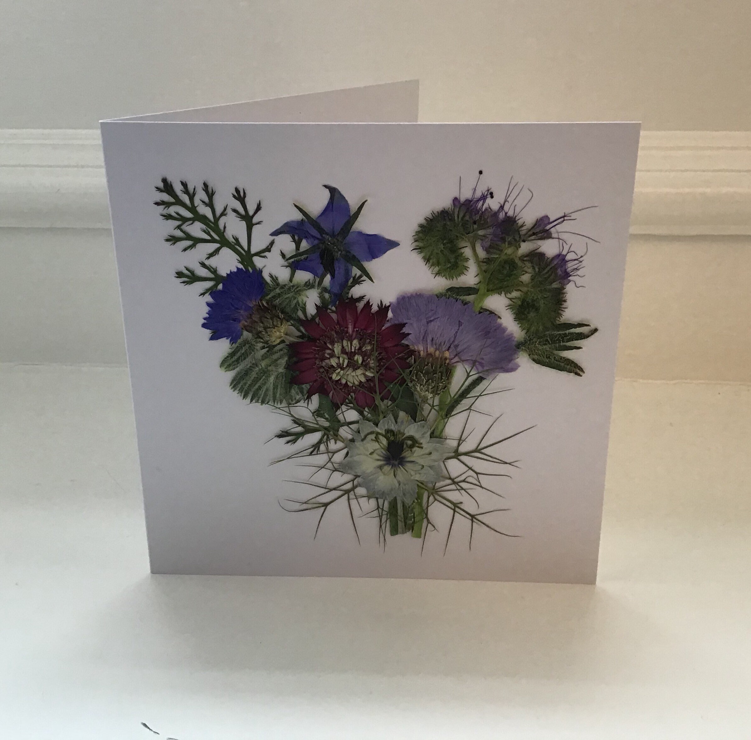 Pressed Flower Card / Greetings Card for all Occasions Etsy