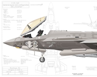 F-35I Adir, Escuadrón Nº 116, "Leones del Sur", huellas de perfil de aviones de bellas artes de las Fuerzas de Defensa israelíes