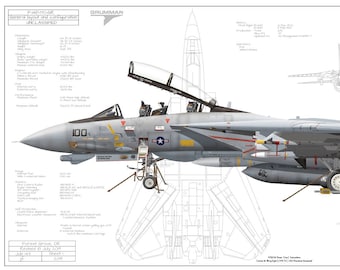 F-14D-170-GR Tomcat Fighter Squadron Thirty One &quot;Tomcatters&quot; USS Theodor Roosevelt