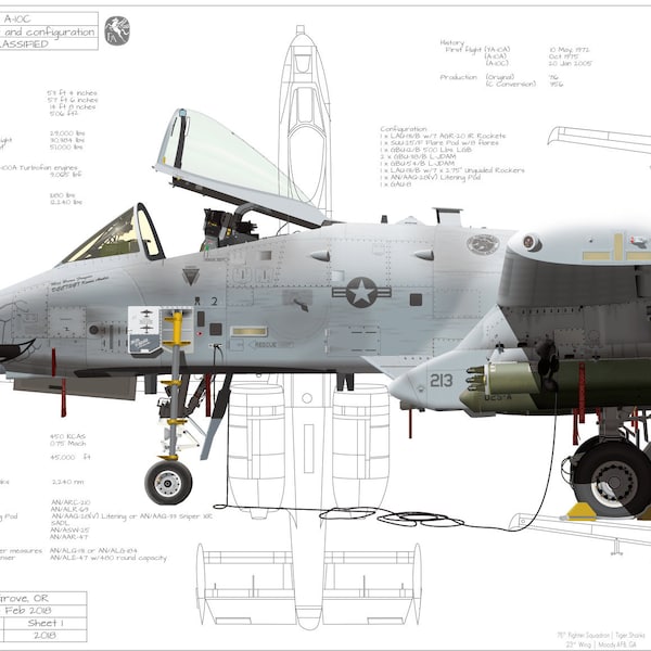 A-10C Thunderbolt II, 163 FS "Blacksnakes", 122 FW Fort Wayne, Indiana Air National Guard Classic White Aircraft Fine Art Profile Print