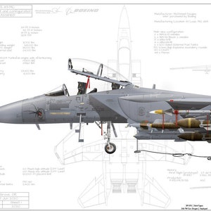 F-15E-49-MC Strike Eagle 391 Fighter Squadron "Bold Tigers" Mountain Home AFB