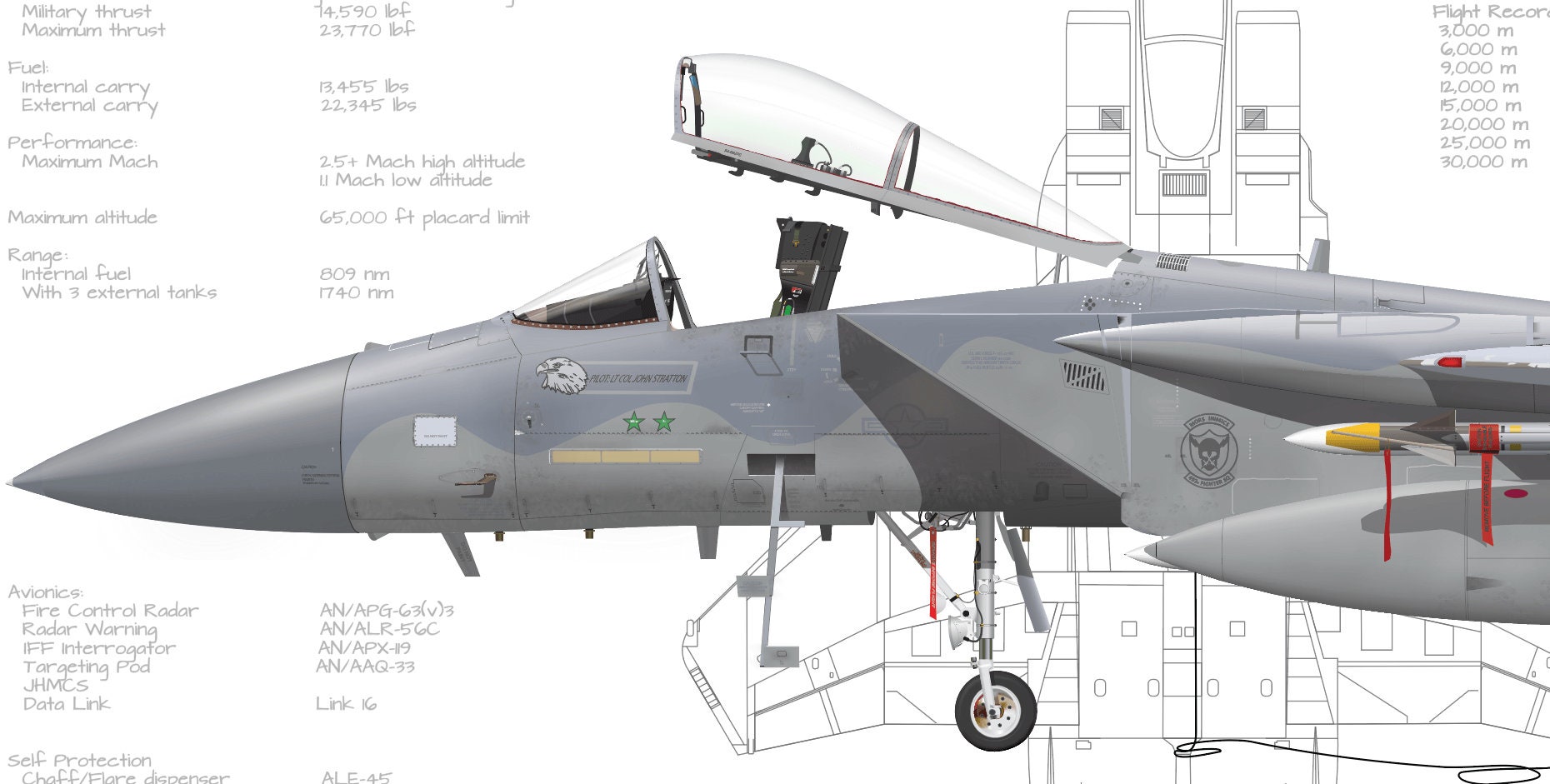 F-15C-37-MC イーグル 493 戦闘飛行隊「グリム リーパーズ」第 48 戦闘