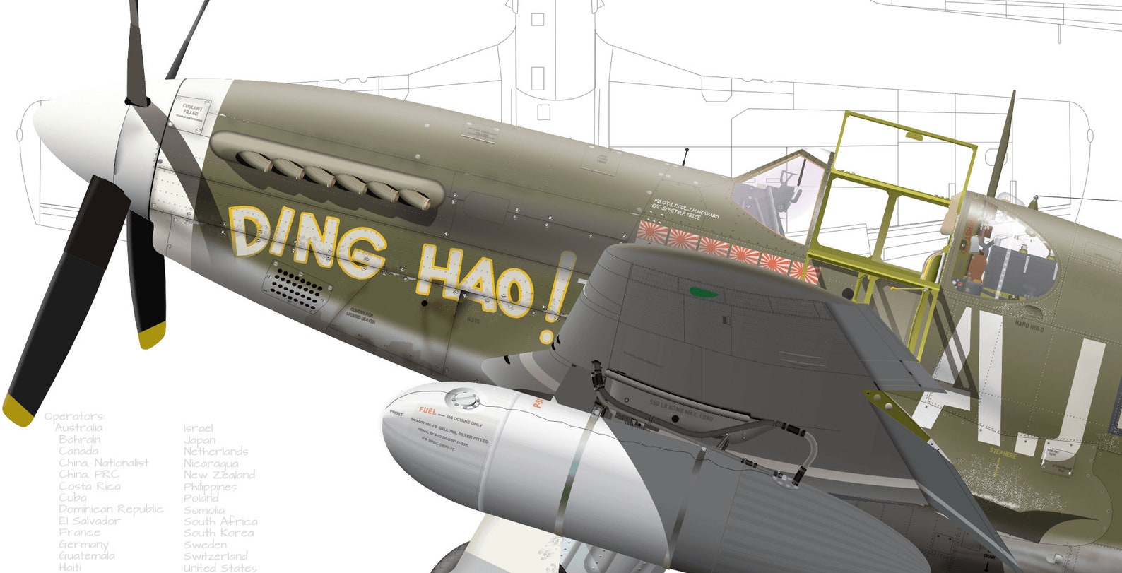 P51B5NA Mustang ding Hao 356 Fighter Squadron red Ass Squadron 354