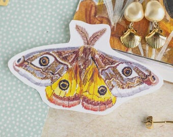 Adesivo di insetti, farfalle, coleotteri, scarabei, diari, cancelleria, disegni originali, illustrazioni, entomologia