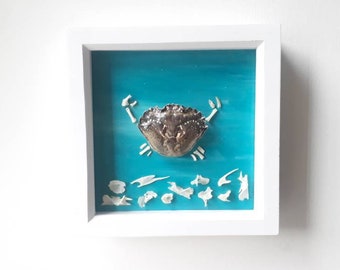 Frankencrab. Crab carapace with mammal bones. Choice of colour and size