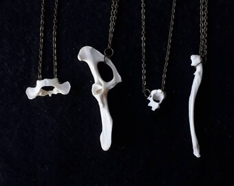 Rabbit Bone Necklace. Choice of bone