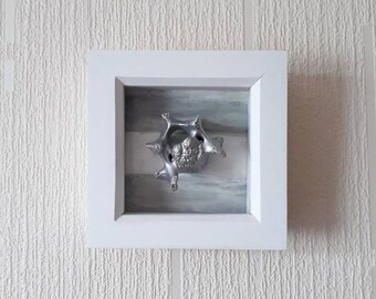 Framed Sheep Vertebra. Choice of colour