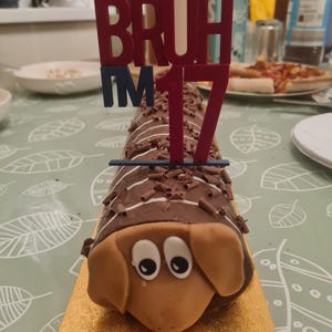 May include: A dachshund-shaped cake with chocolate frosting, white stripes, and chocolate shavings. The cake has a brown face with large eyes and ears. A cake topper reads "BRUH I'M 17" in red and blue.