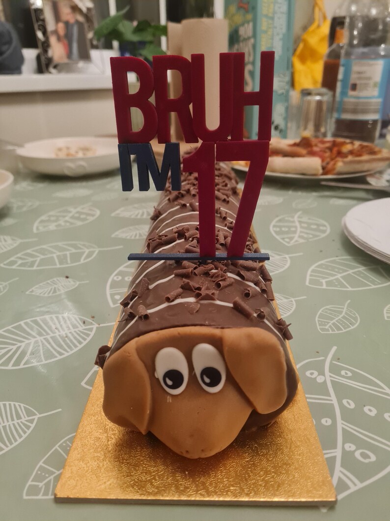 May include: A dachshund-shaped cake with chocolate frosting, white stripes, and chocolate shavings. The cake has a brown face with large eyes and ears. A cake topper reads "BRUH I'M 17" in red and blue.
