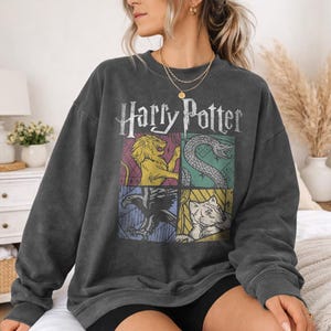 May include: Dark gray sweatshirt featuring the words "Harry Potter" above four house crests: a lion, a snake, an eagle, and a badger. The sweatshirt has a vintage, worn look.