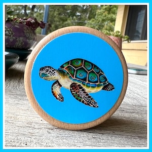 Turtle Trinket Box: Original Artwork Wooden Keepsake Box