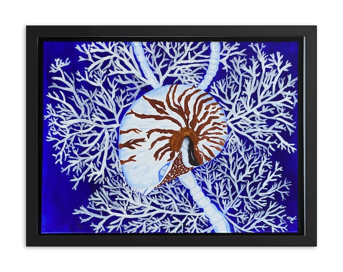 Nautilus and CoralFramed poster